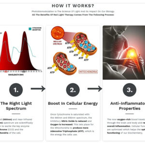 Joint Pain and Cellular Rejuvenation Program