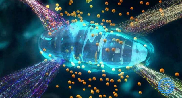 Microcurrent EMS Facelift