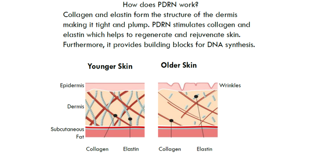 Full Series of 3 Salmon PDRN Facial Treatments